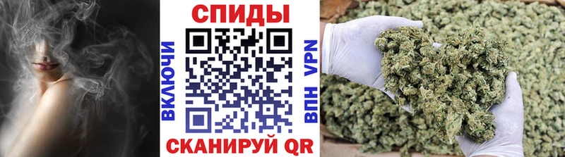 Бутират буратино Обнинск