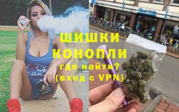 тгк Вяземский