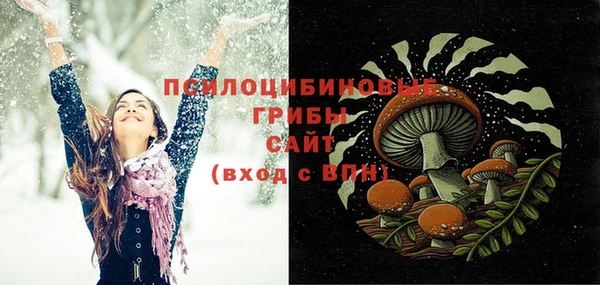 бошки Алексеевка